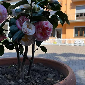  Hébergement de vacances Ca Del Fili Italie